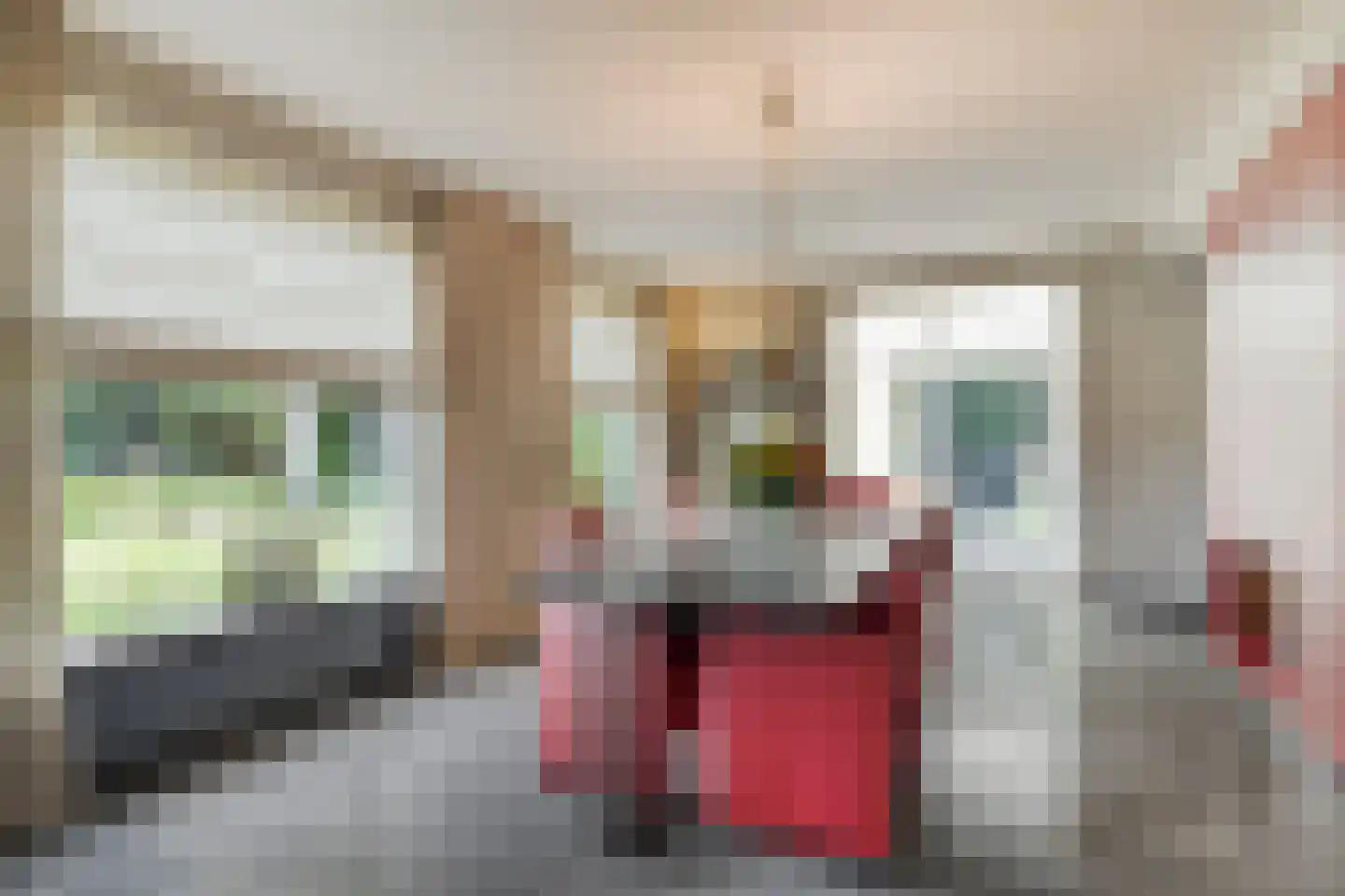 Nieuwe Zandstraat 3 Halsteren thumbnail 17
