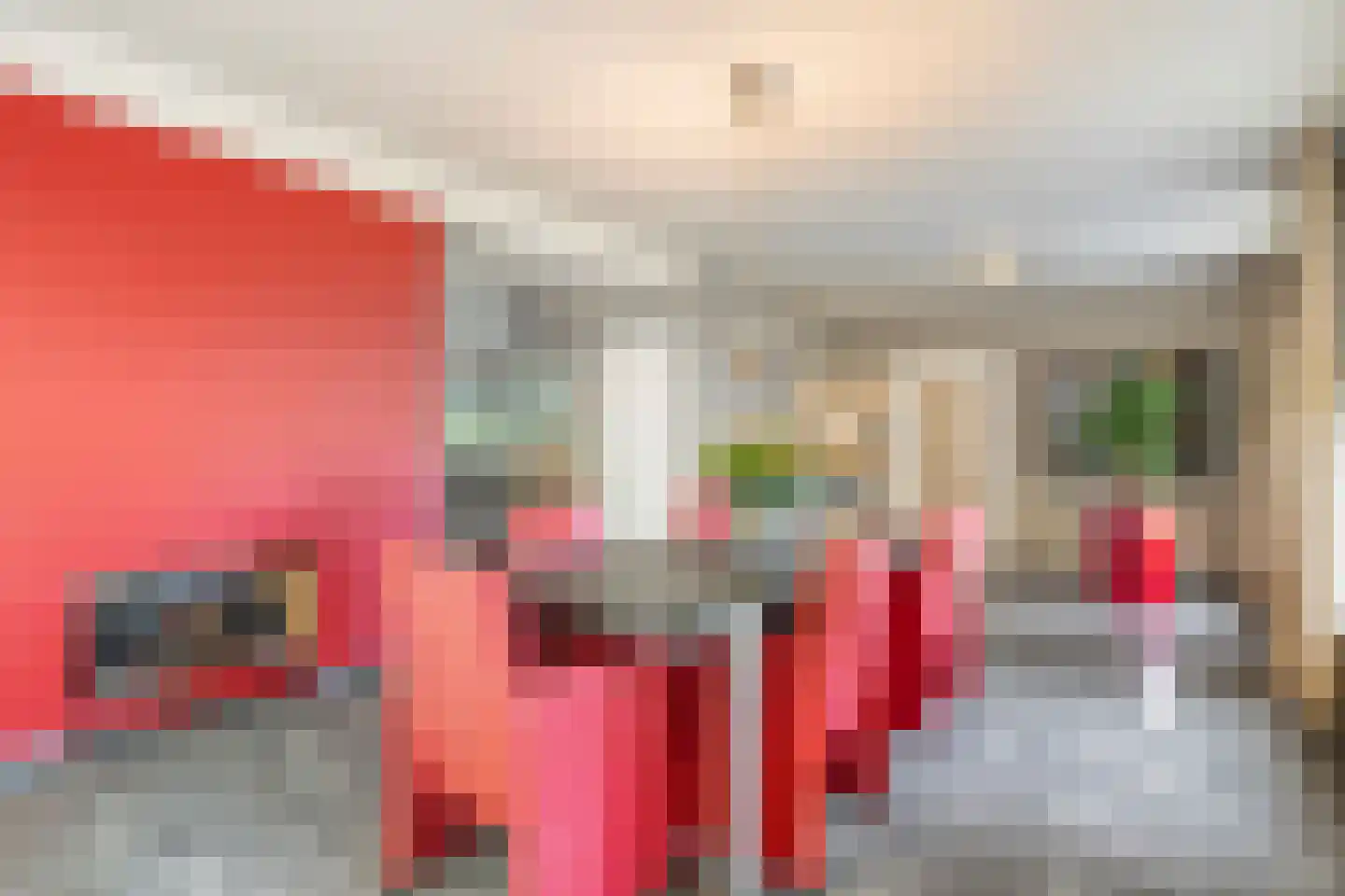 Nieuwe Zandstraat 3 Halsteren thumbnail 18