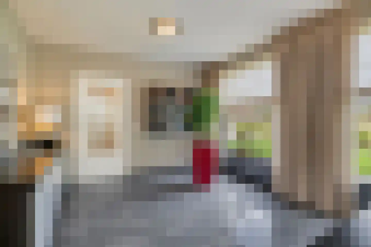 Nieuwe Zandstraat 3 Halsteren thumbnail 21