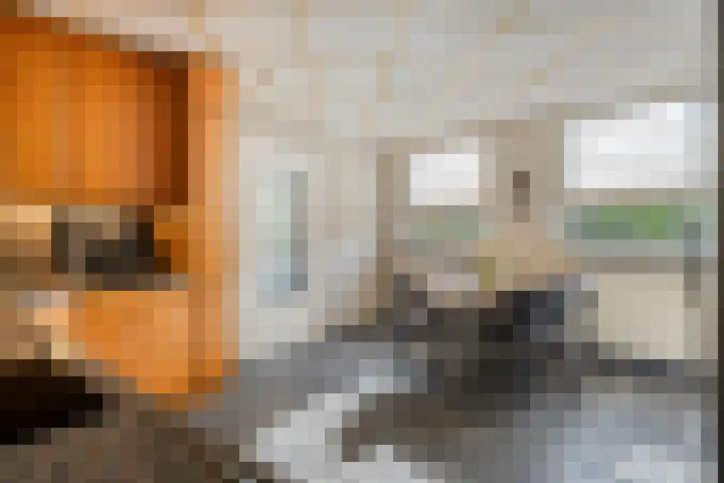 Nieuwe Zandstraat 3 Halsteren thumbnail 22