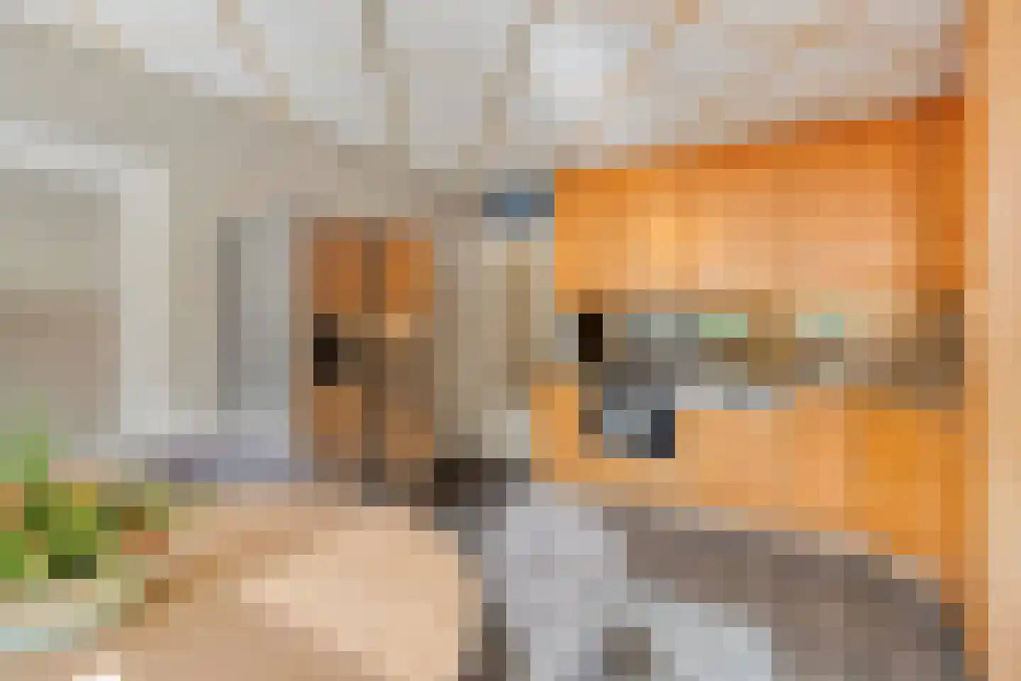 Nieuwe Zandstraat 3 Halsteren thumbnail 24