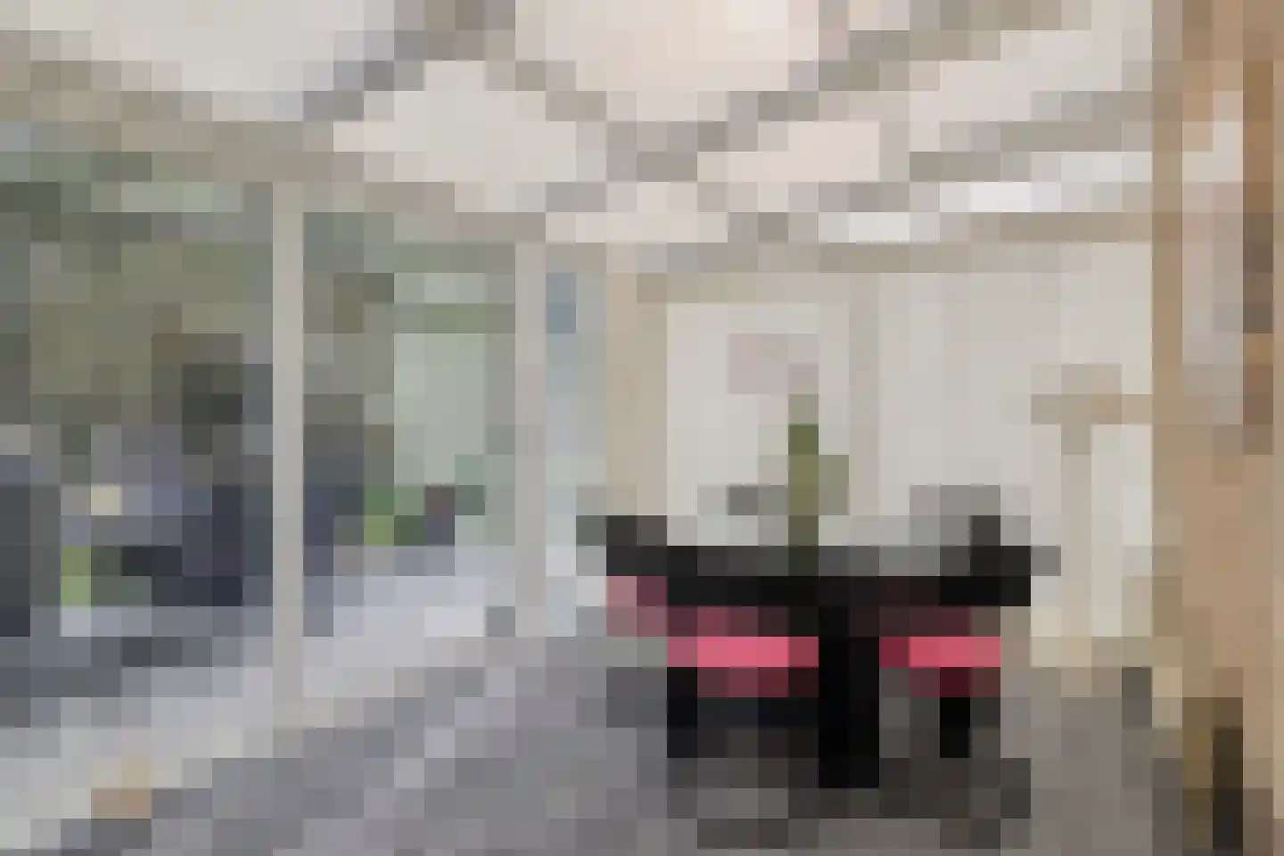 Nieuwe Zandstraat 3 Halsteren thumbnail 28