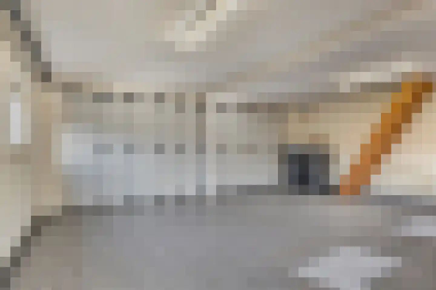 Nieuwe Zandstraat 3 Halsteren thumbnail 32