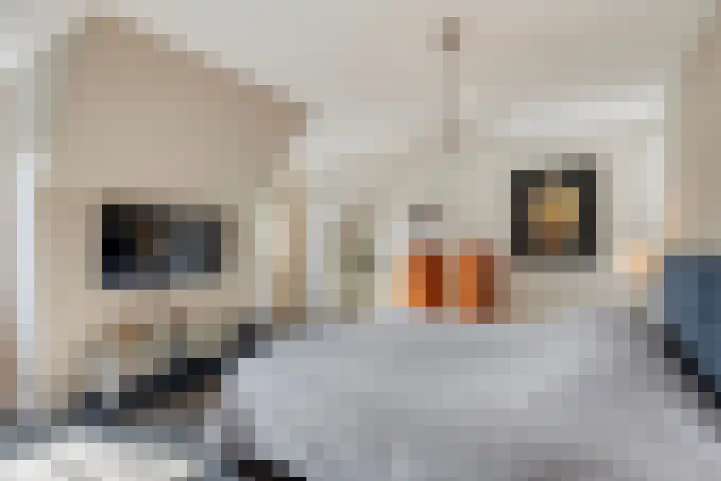 Nieuwe Zandstraat 3 Halsteren thumbnail 36