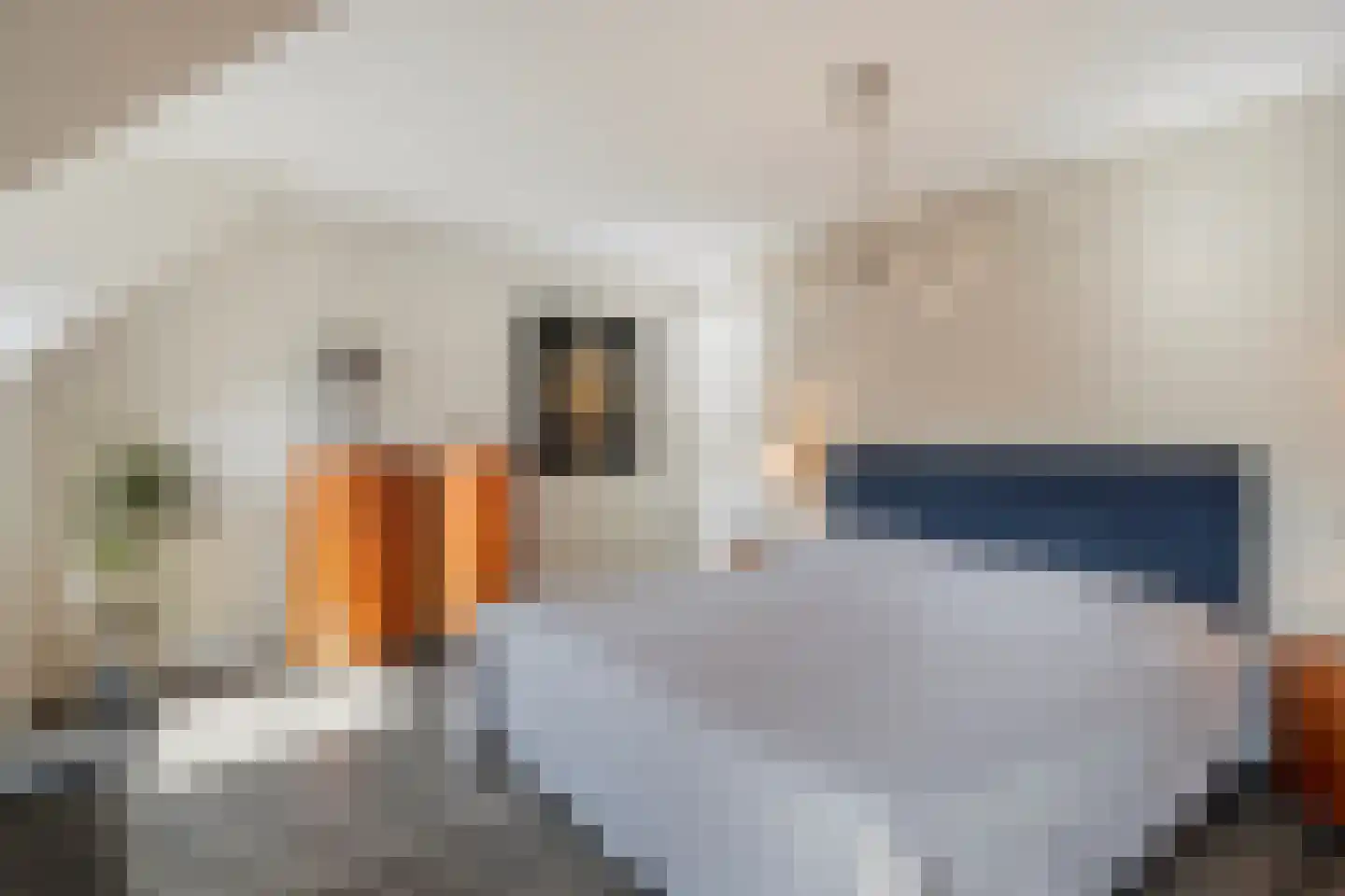 Nieuwe Zandstraat 3 Halsteren thumbnail 37