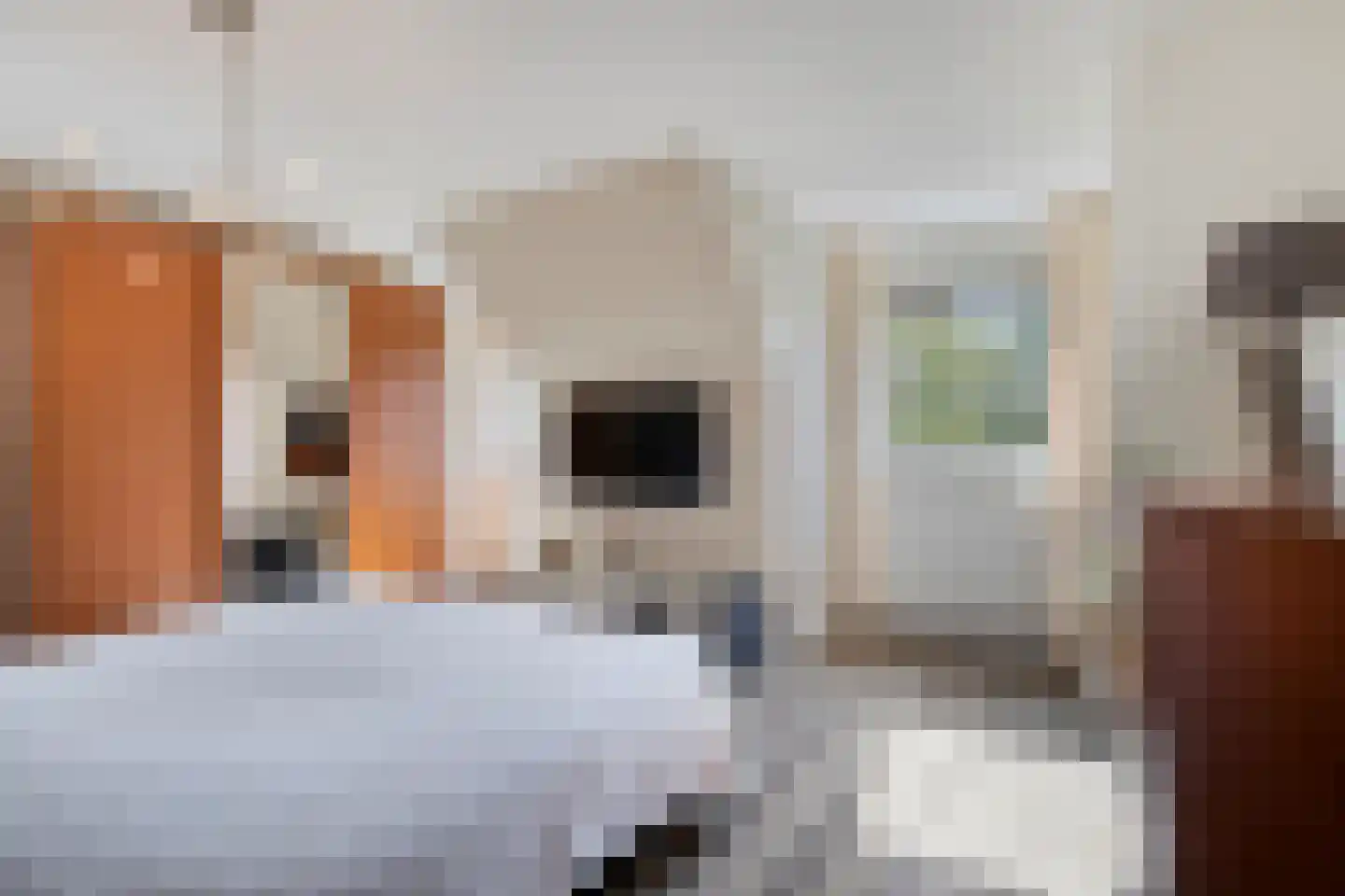 Nieuwe Zandstraat 3 Halsteren thumbnail 39