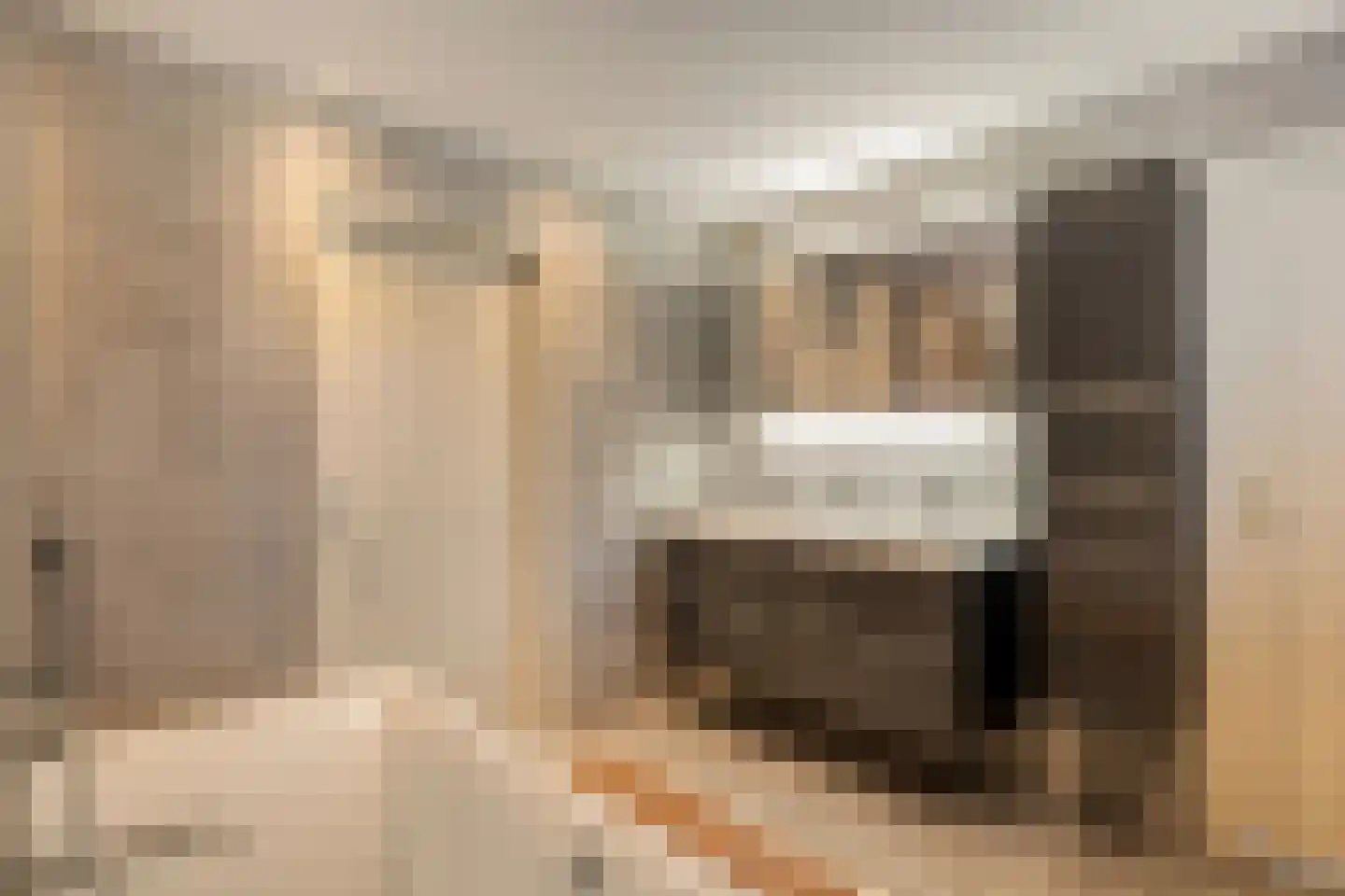 Nieuwe Zandstraat 3 Halsteren thumbnail 44