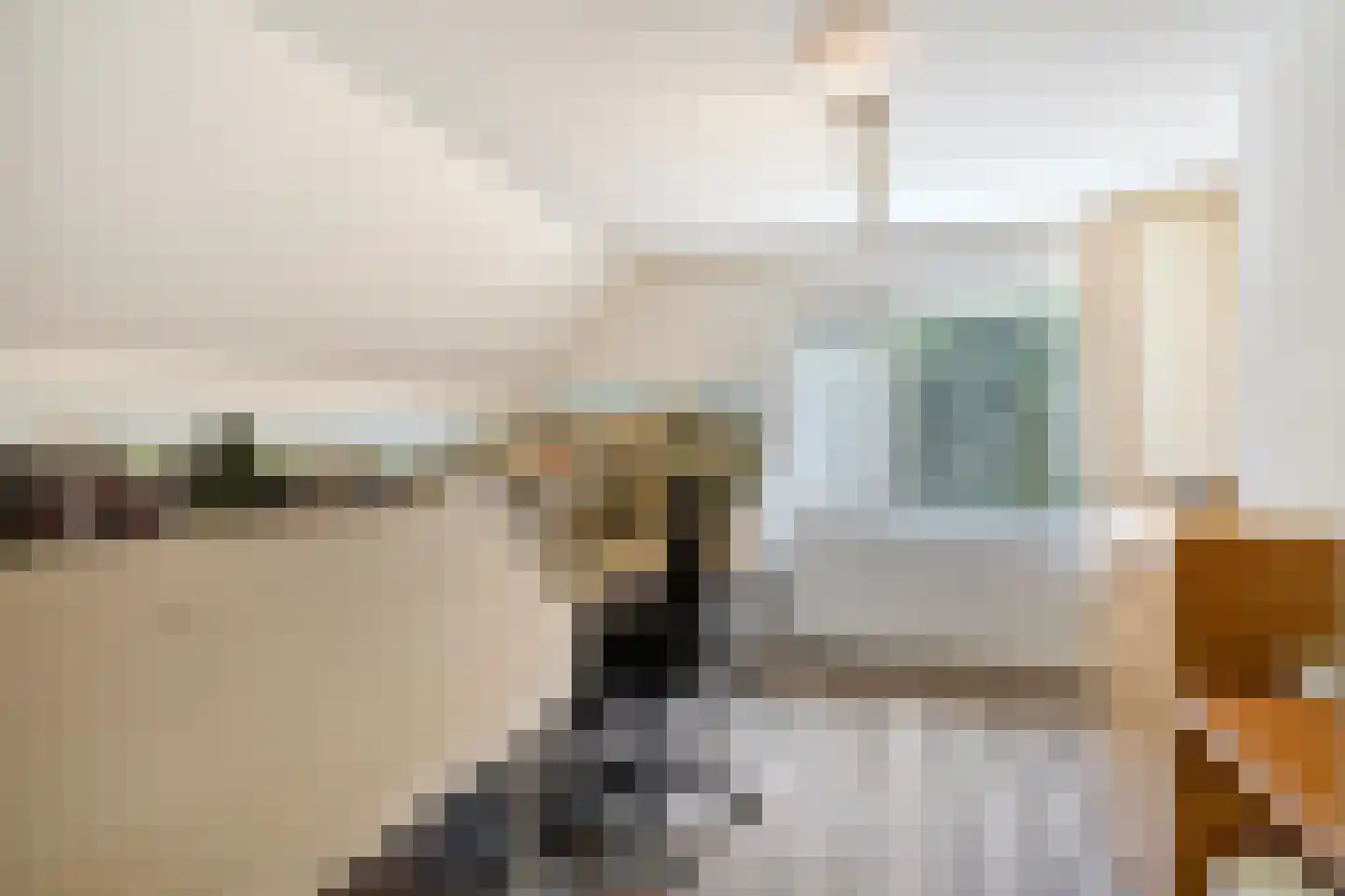 Nieuwe Zandstraat 3 Halsteren thumbnail 48