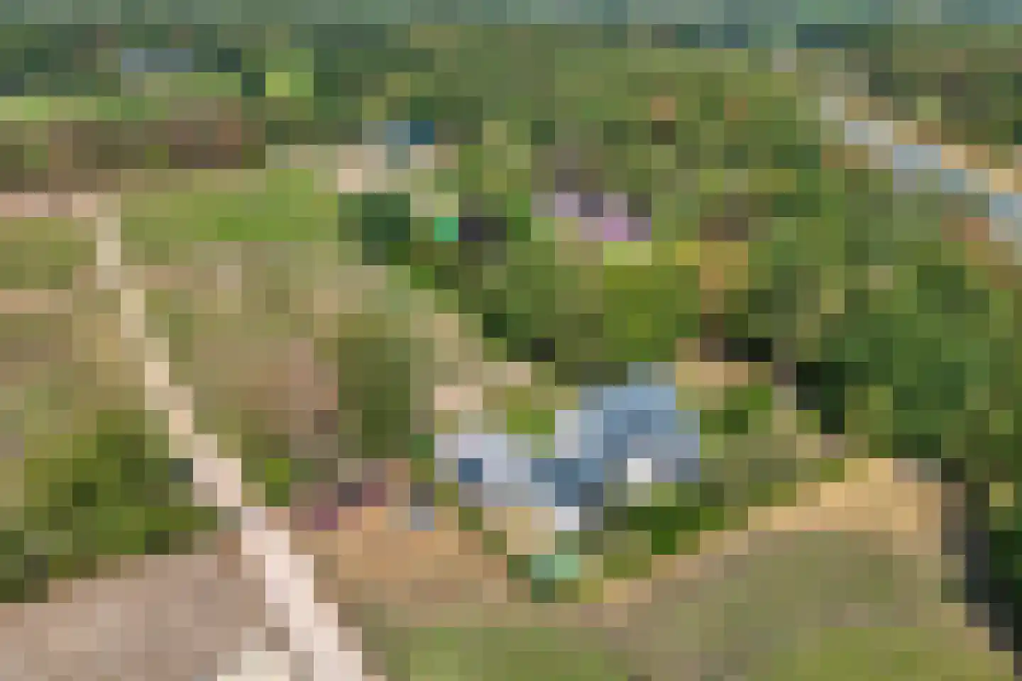 Nieuwe Zandstraat 3 Halsteren thumbnail 5