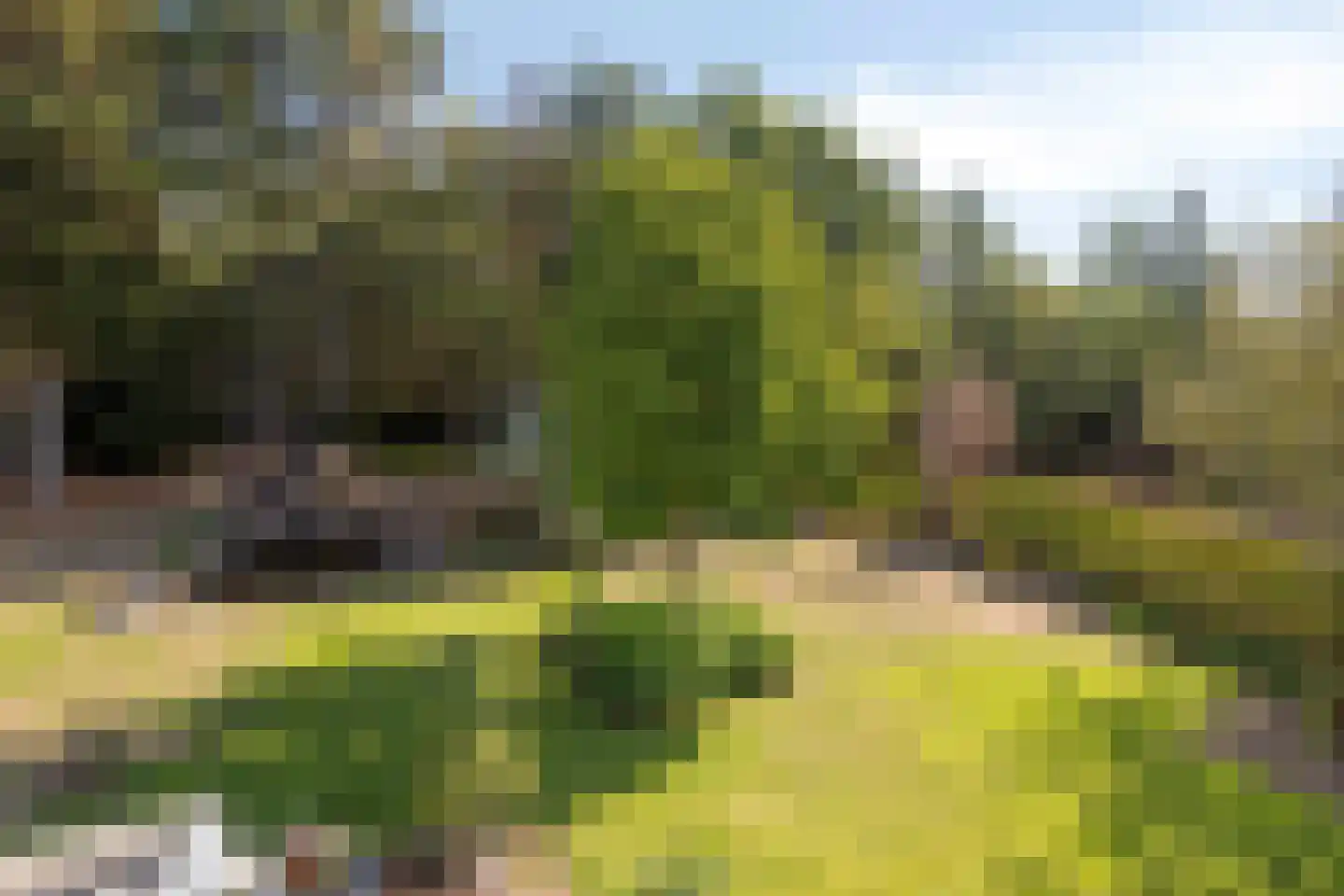 Nieuwe Zandstraat 3 Halsteren thumbnail 51