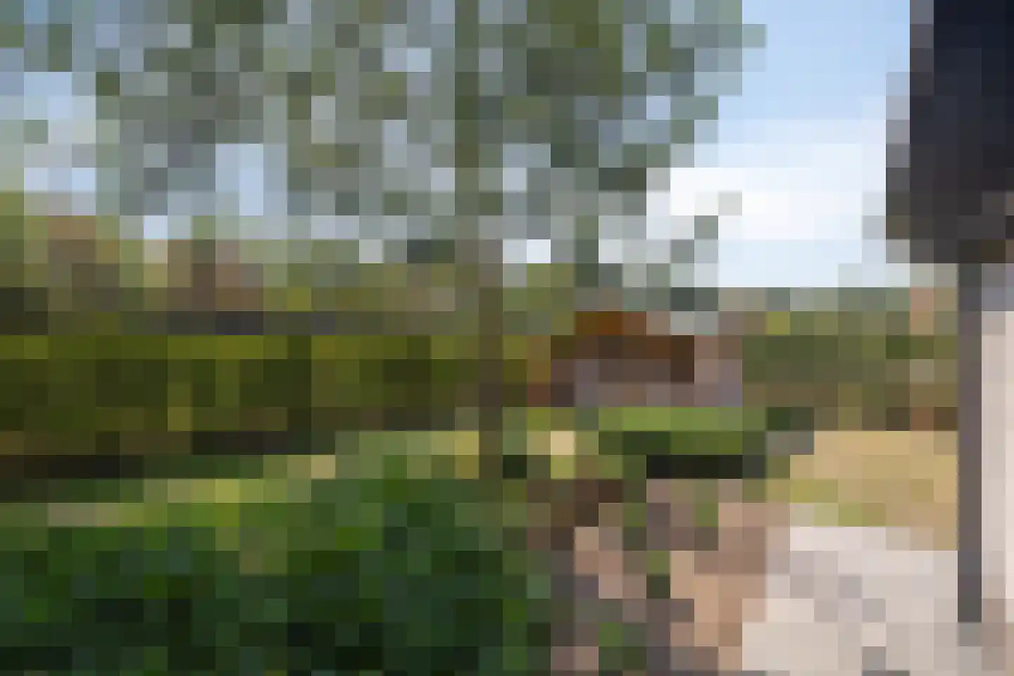 Nieuwe Zandstraat 3 Halsteren thumbnail 55