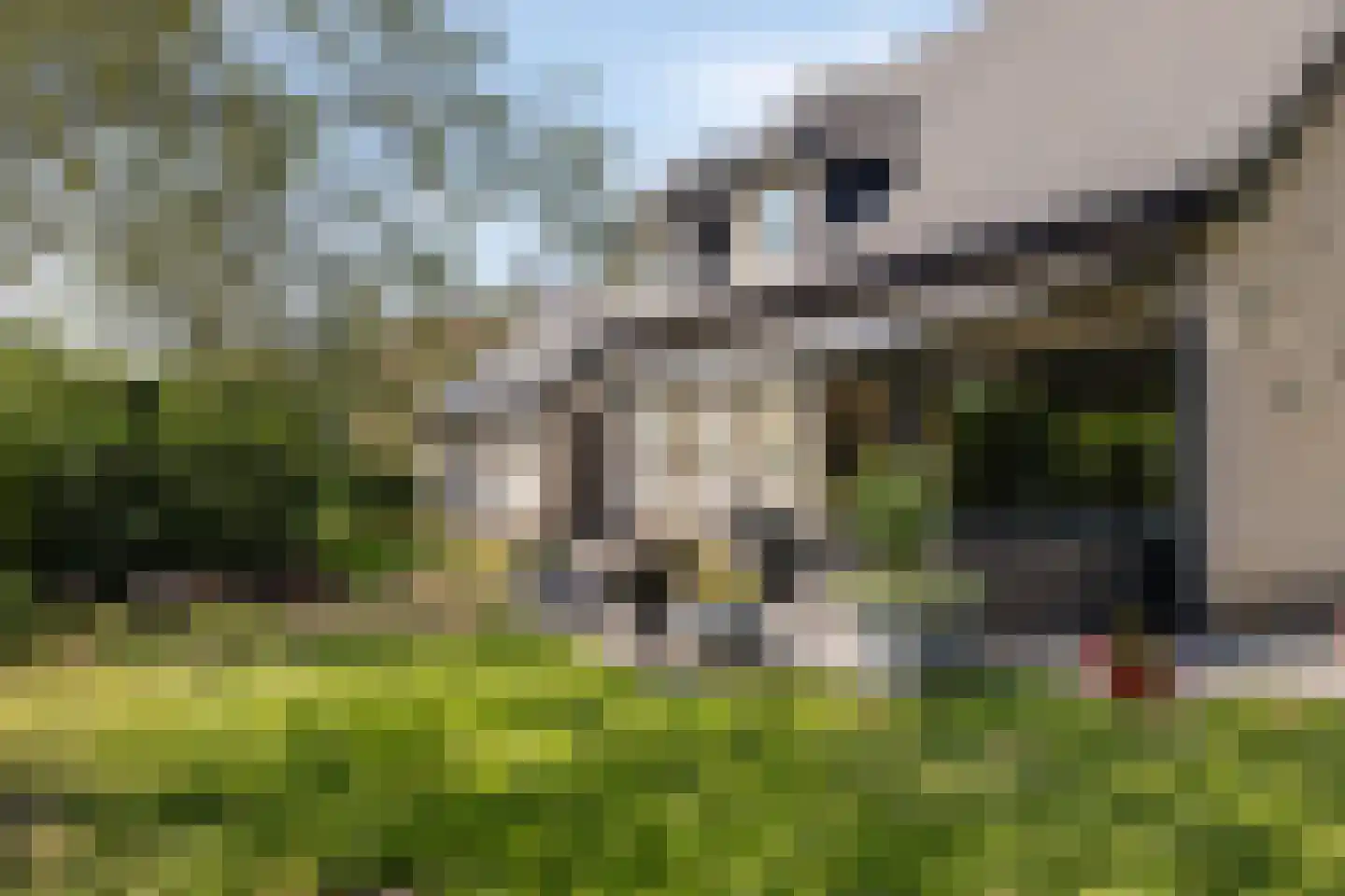 Nieuwe Zandstraat 3 Halsteren thumbnail 57