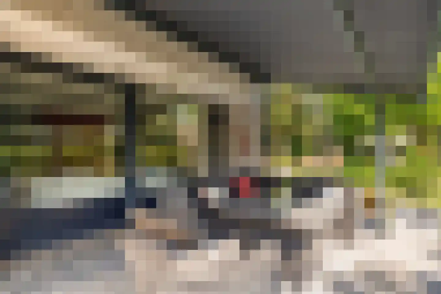 Nieuwe Zandstraat 3 Halsteren thumbnail 60