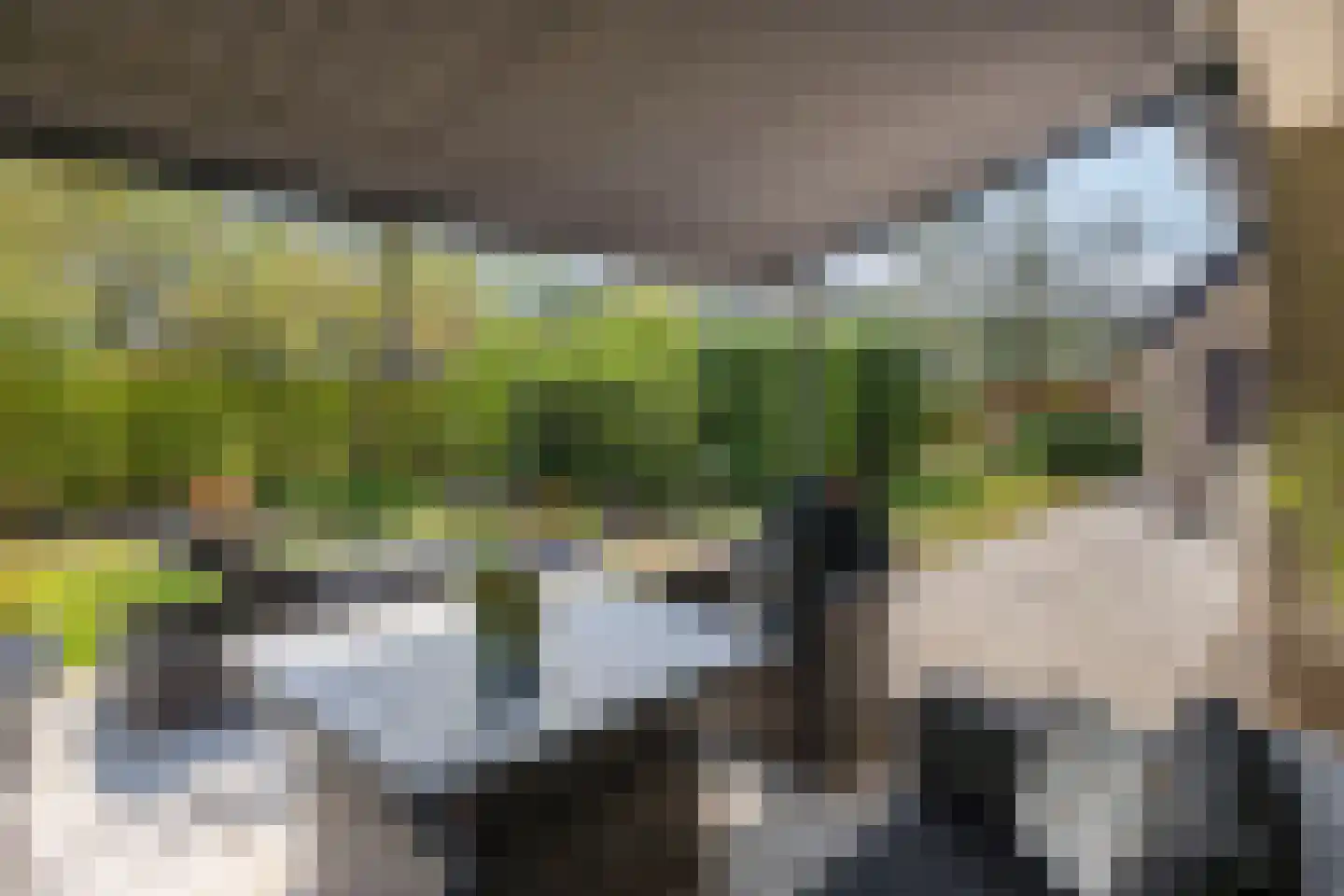 Nieuwe Zandstraat 3 Halsteren thumbnail 61