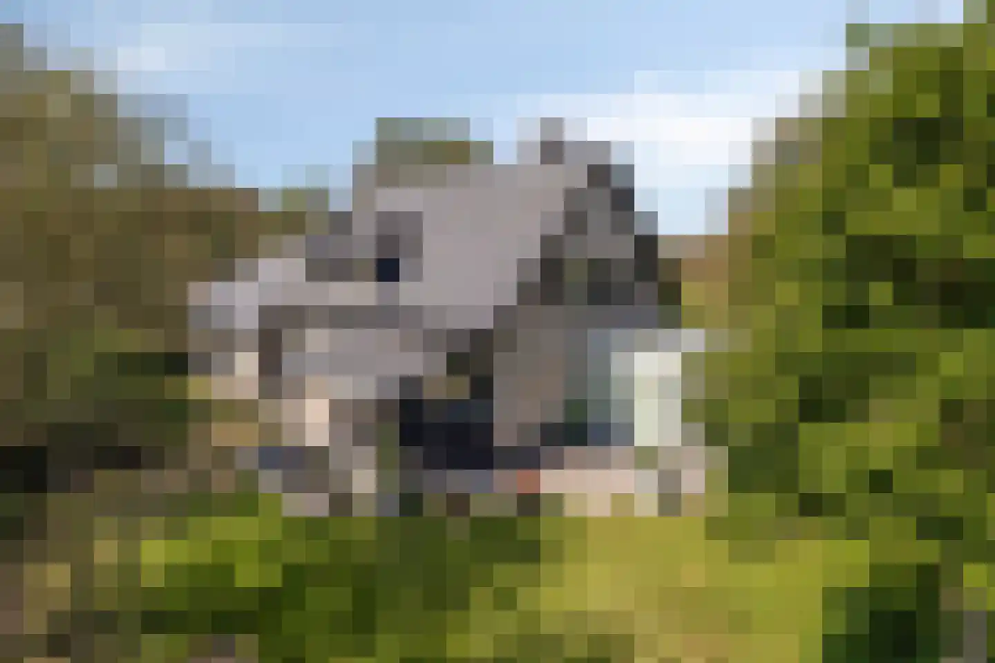 Nieuwe Zandstraat 3 Halsteren thumbnail 63