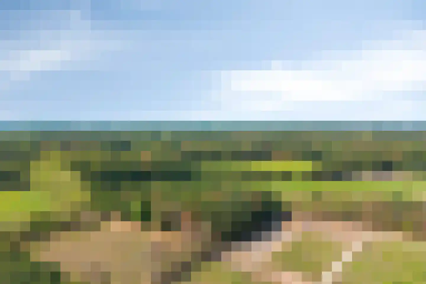Nieuwe Zandstraat 3 Halsteren thumbnail 67