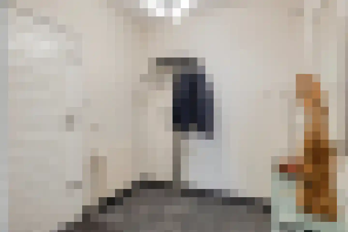 Nieuwe Zandstraat 3 Halsteren thumbnail 8