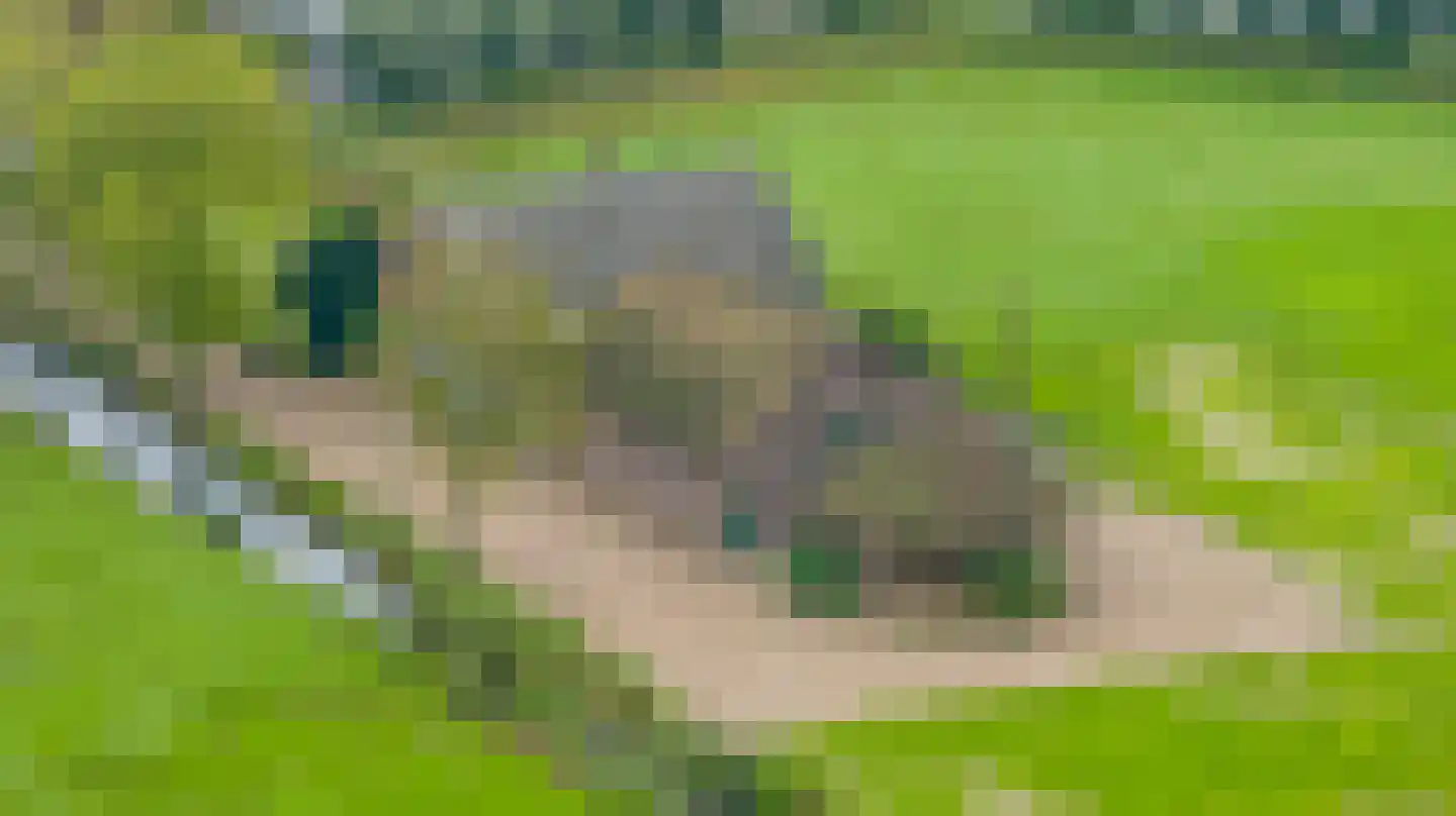 Nieuwe Zandweg 20 Linschoten thumbnail 20