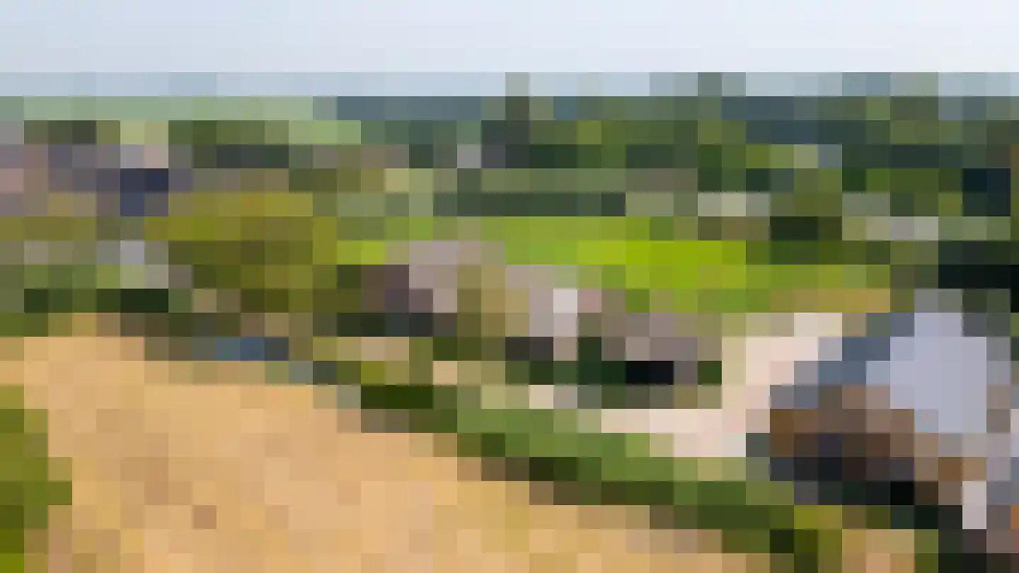Nieuwe Zandweg 20 Linschoten thumbnail 24