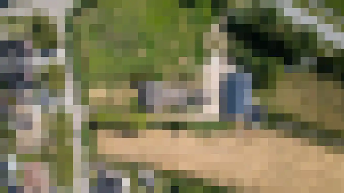 Nieuwe Zandweg 20 Linschoten thumbnail 25