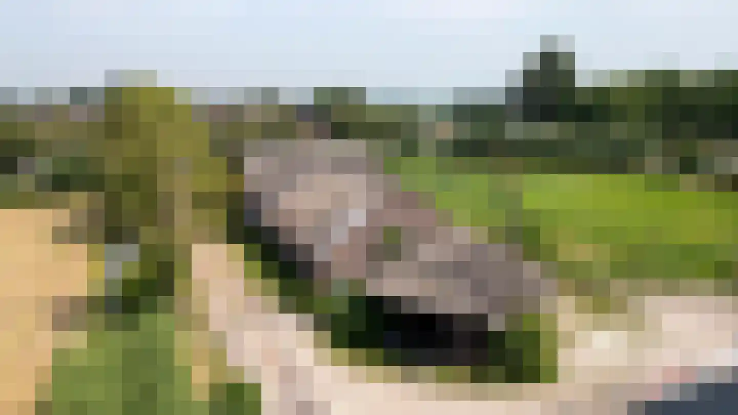 Nieuwe Zandweg 20 Linschoten foto 3