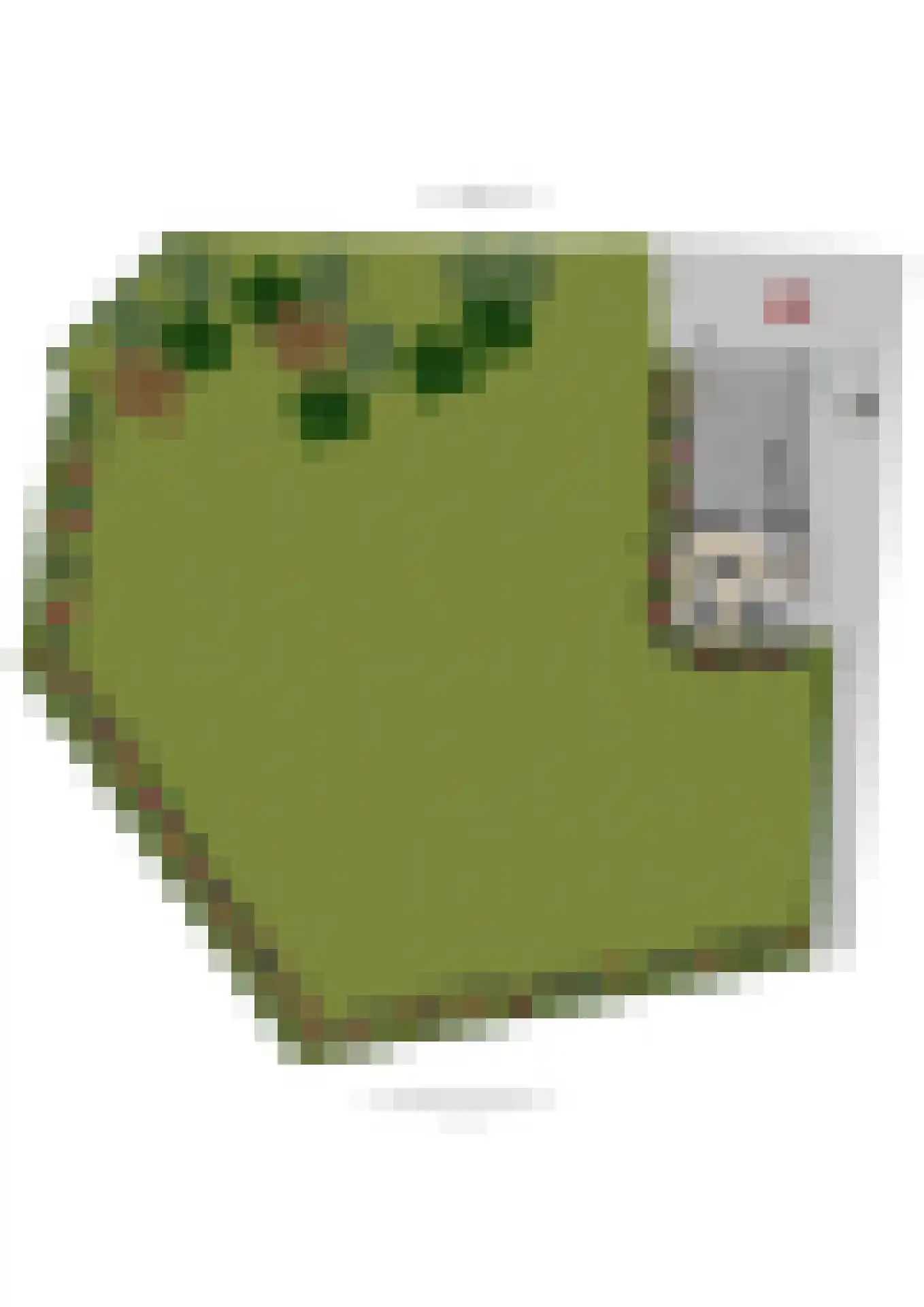 Nieuwe Zandweg 20 Linschoten thumbnail 30