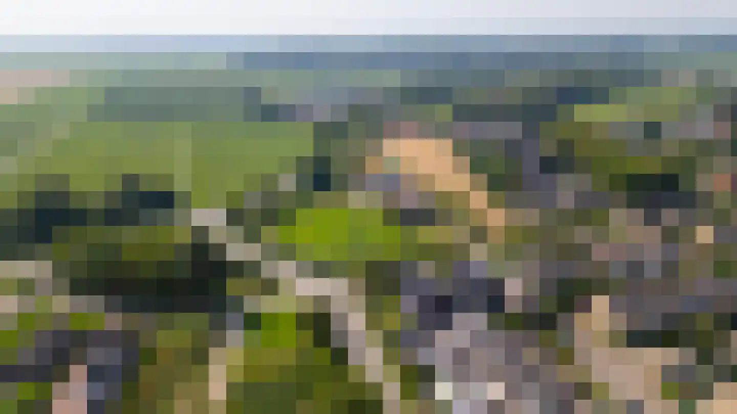 Nieuwe Zandweg 20 Linschoten thumbnail 5