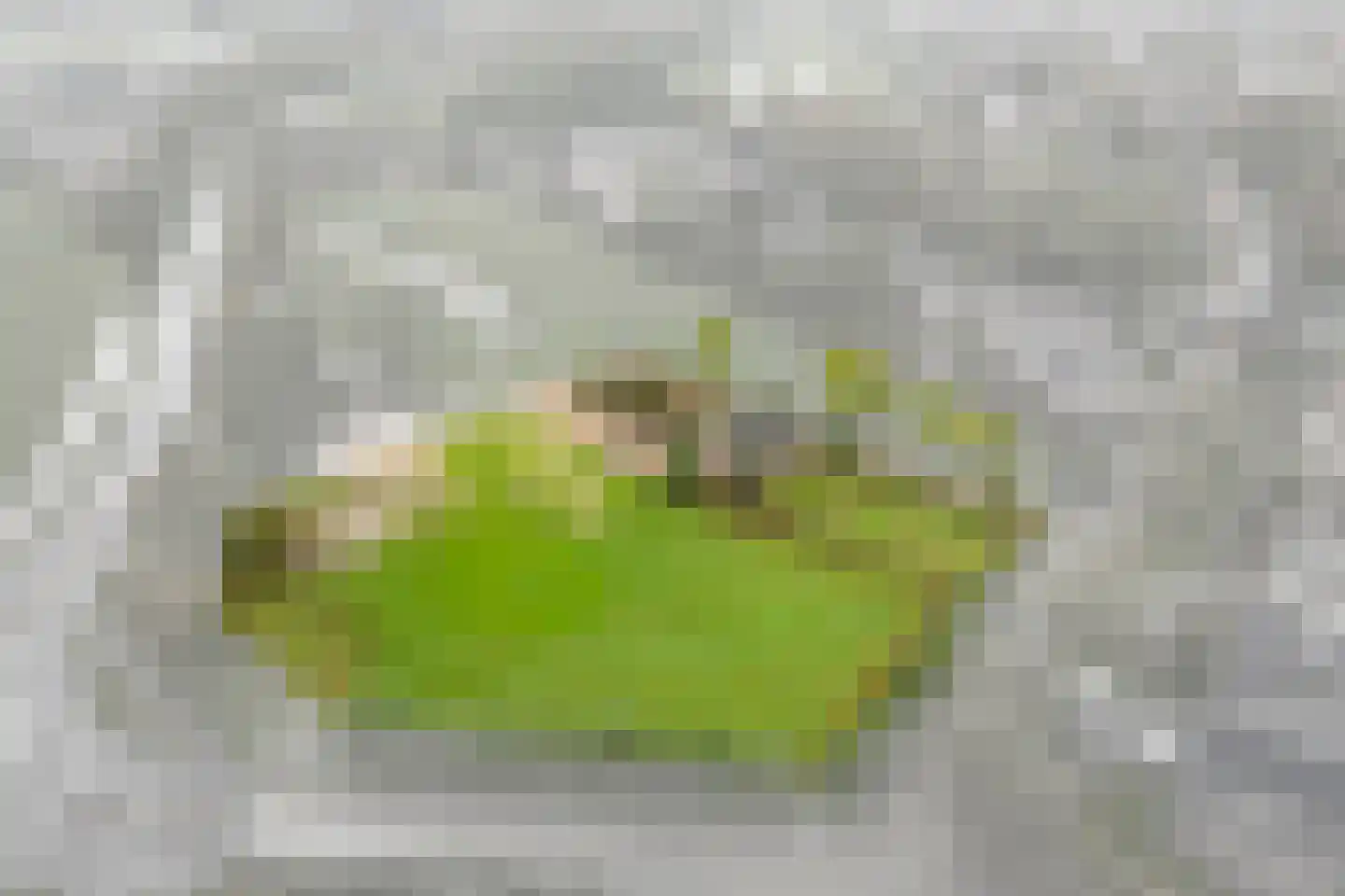 Nieuwe Zandweg 20 Linschoten thumbnail 6