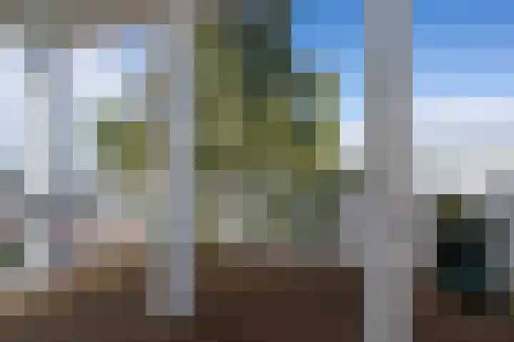 Nieuwe Zeedijk 1 K003 Hellevoetsluis thumbnail 20