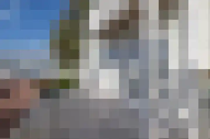 Nieuwe Zeedijk 1 K003 Hellevoetsluis thumbnail 40