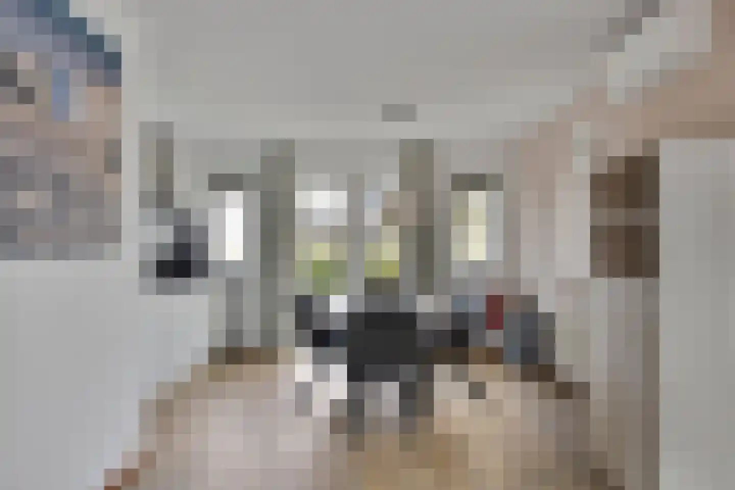 Nieuwe Zeedijk 1 K017 Hellevoetsluis thumbnail 10