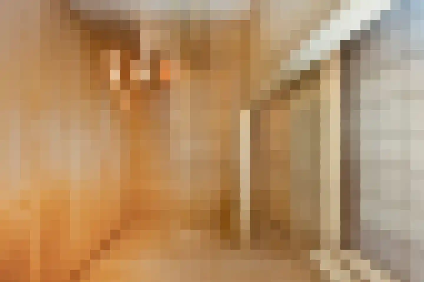 Nieuwe Zeedijk 1 K017 Hellevoetsluis thumbnail 29