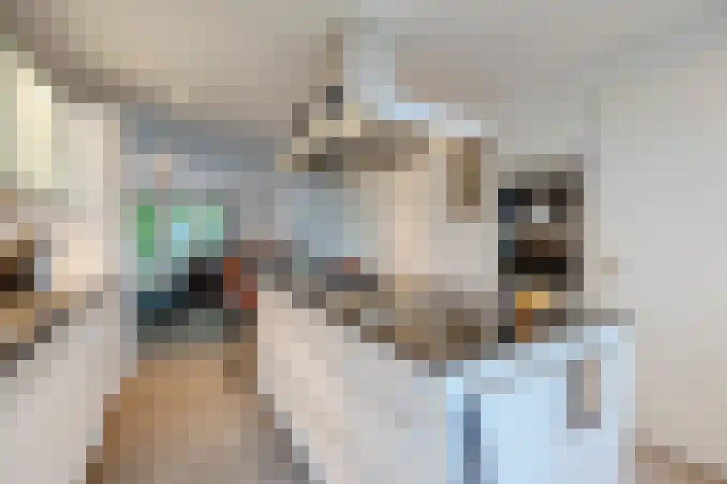 Nieuwe Zeedijk 1 K206 Hellevoetsluis thumbnail 12