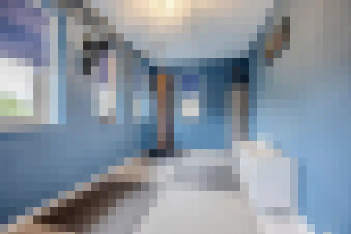 Nieuwe Zeedijk 1 K206 Hellevoetsluis thumbnail 20