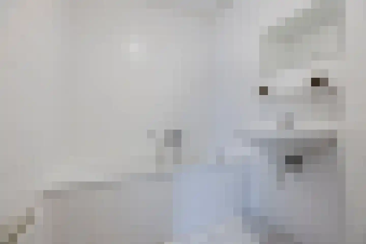 Nieuwe Zeedijk 1 K206 Hellevoetsluis thumbnail 23