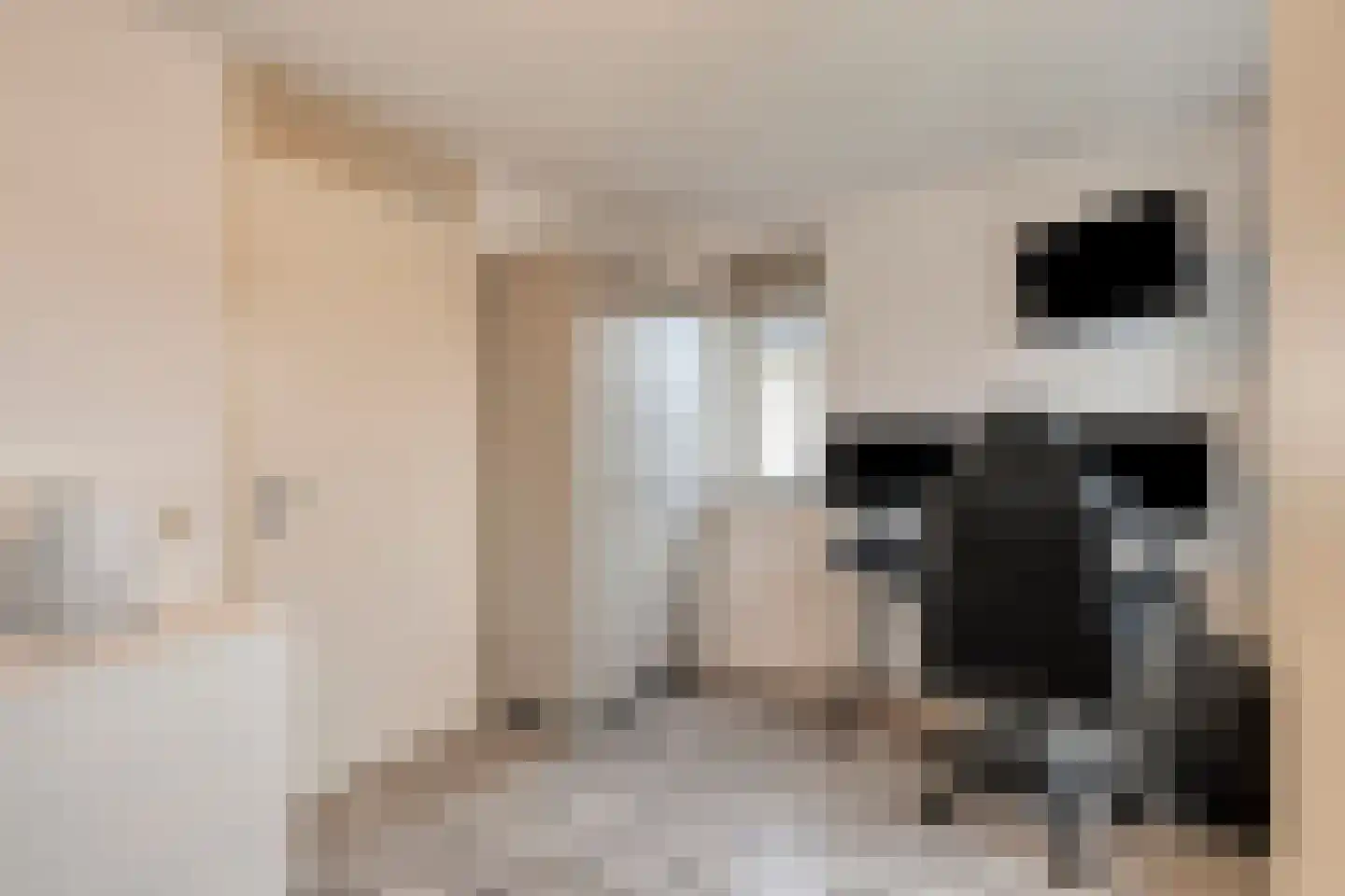 Nieuwe Zeedijk 1 K308 Hellevoetsluis thumbnail 21