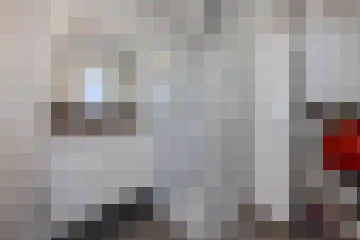 Nieuwe Zeedijk 1 K309 Hellevoetsluis thumbnail 15