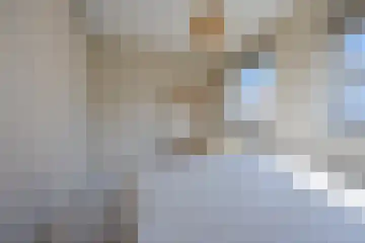 Nieuwe Zeedijk 1 K309 Hellevoetsluis thumbnail 20