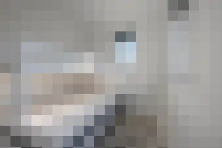Nieuwe Zeedijk 1 K309 Hellevoetsluis thumbnail 21