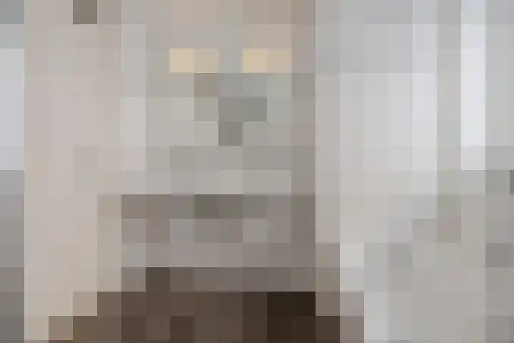 Nieuwe Zeedijk 1 K309 Hellevoetsluis thumbnail 26
