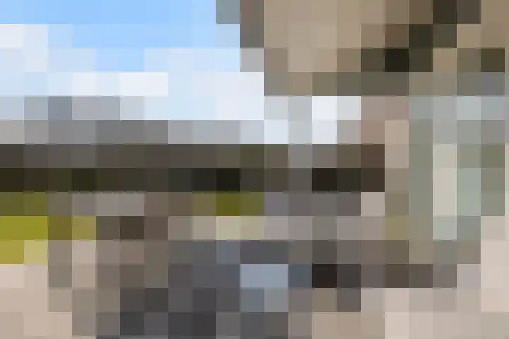 Nieuwe Zeedijk 1 K309 Hellevoetsluis thumbnail 28