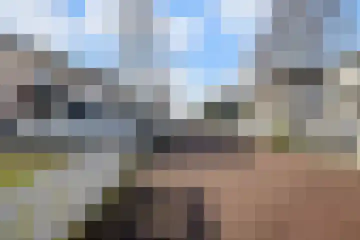 Nieuwe Zeedijk 1 K309 Hellevoetsluis thumbnail 37