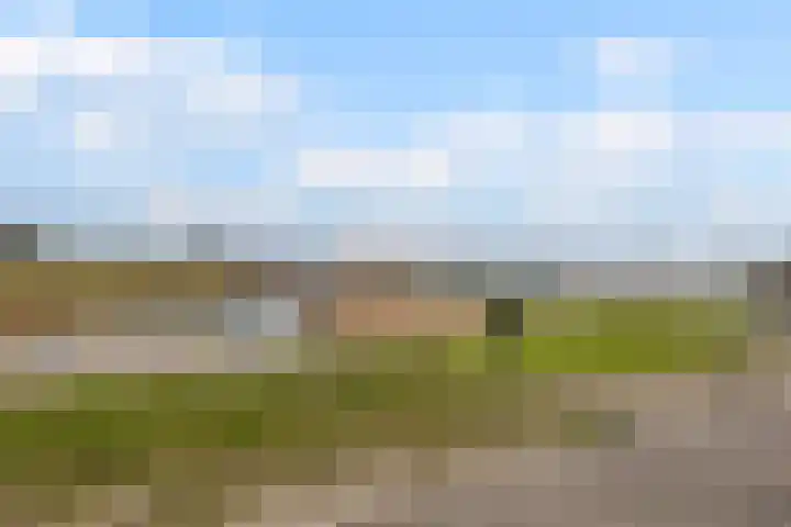 Nieuwe Zeedijk 1 K309 Hellevoetsluis thumbnail 41