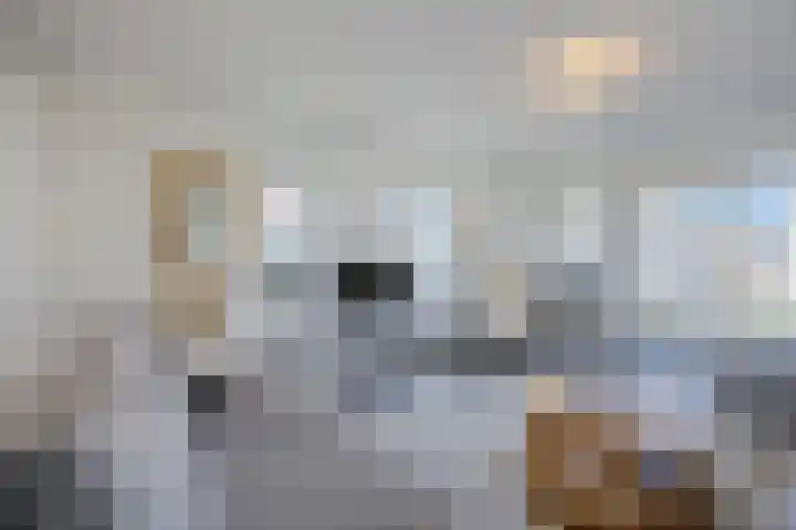 Nieuwe Zeedijk 1 K309 Hellevoetsluis thumbnail 5