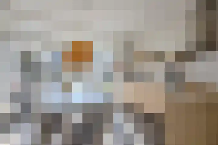 Nieuwe Zeedijk 1 K309 Hellevoetsluis thumbnail 9