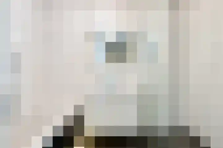 Nieuwe Zeedijk 1 K626 Hellevoetsluis thumbnail 17