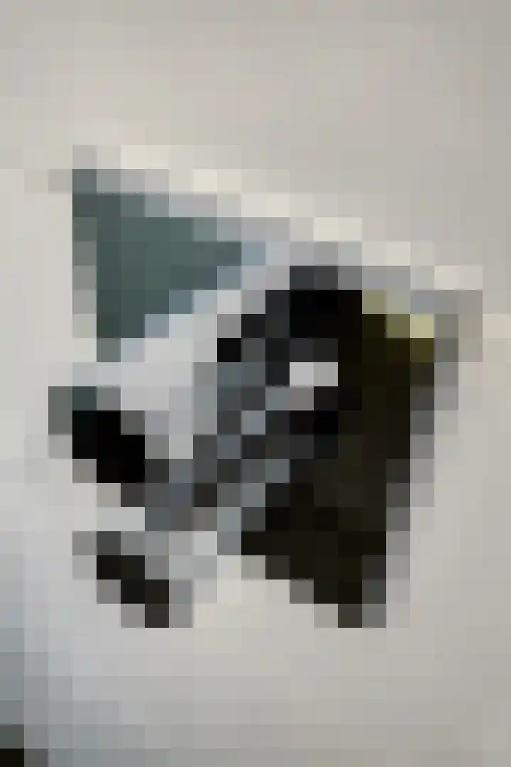 Nieuwe Zeedijk 1 K626 Hellevoetsluis thumbnail 20
