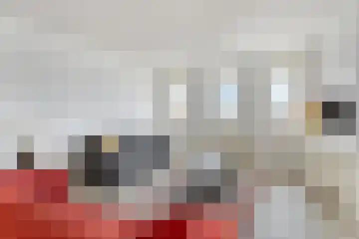 Nieuwe Zeedijk 1 K626 Hellevoetsluis thumbnail 26