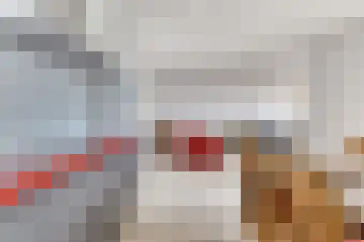Nieuwe Zeedijk 1 K626 Hellevoetsluis thumbnail 30