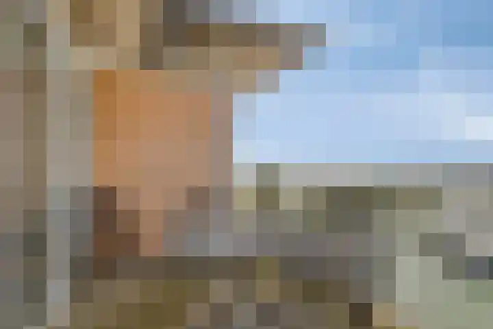 Nieuwe Zeedijk 1 K626 Hellevoetsluis thumbnail 37